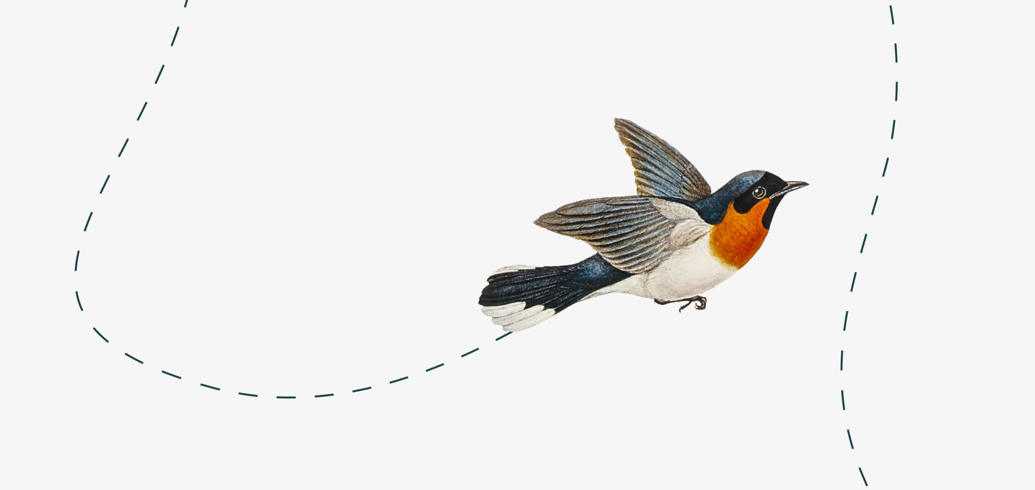 Ilustrace letícího ptáka.